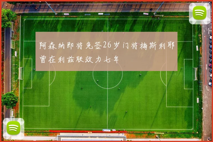 阿森纳即将免签26岁门将梅斯利耶曾在利兹联效力七年